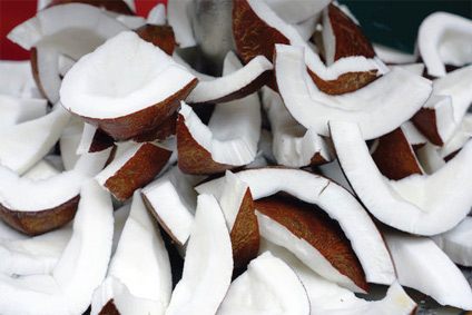 coconut-meat-kusuma-1