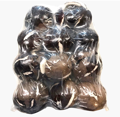 coconut-meat-kusuma-2