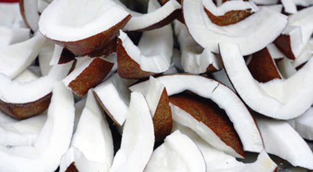 kusuma-coconut-meat-malaysia