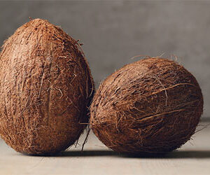 Kelapa Bulat